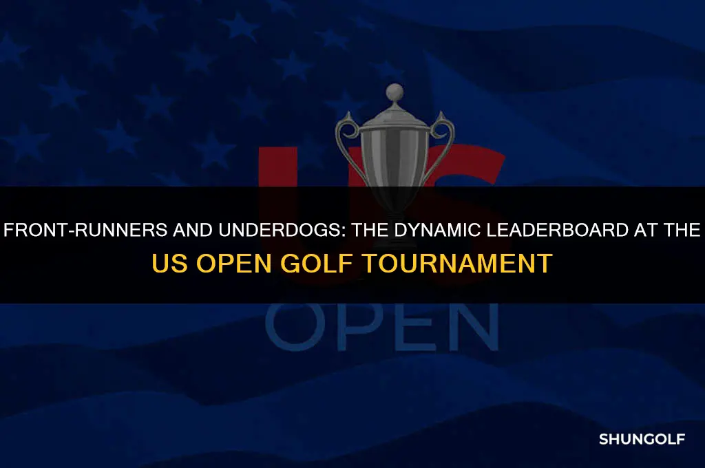 who is leading the us open golf tournament