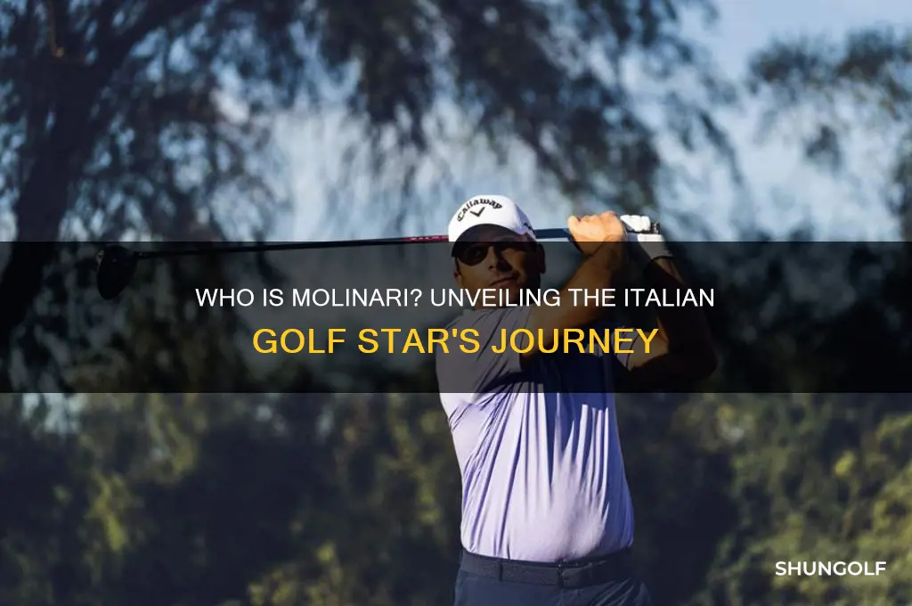 who is molinari golfer