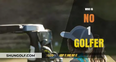 The Ultimate Golfer: Who Tops the World Rankings Today?