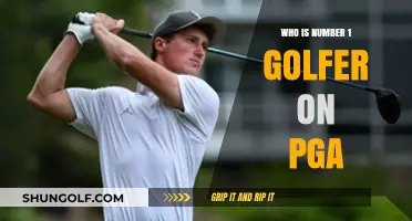 The Ultimate PGA Leader: Who Tops the Golf Rankings?