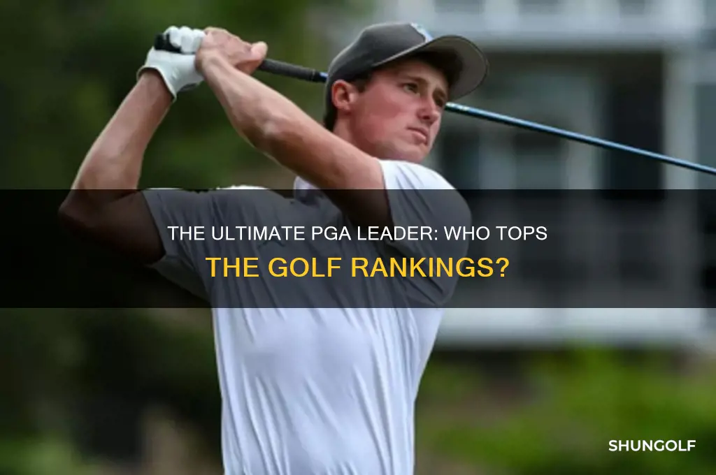 who is number 1 golfer on pga