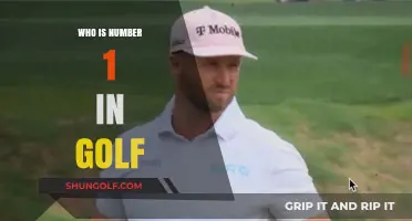 Golf's Top-Ranked Player: Who's Leading?