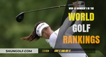World Golf Rankings: Who Currently Holds the Top Spot?