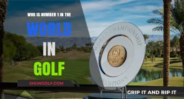 The Ultimate Golf Champion: Who Reigns Supreme Globally?