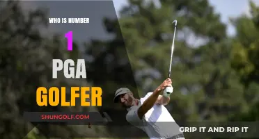 Who Tops the PGA Rankings? Unveiling Golf's Current Number One