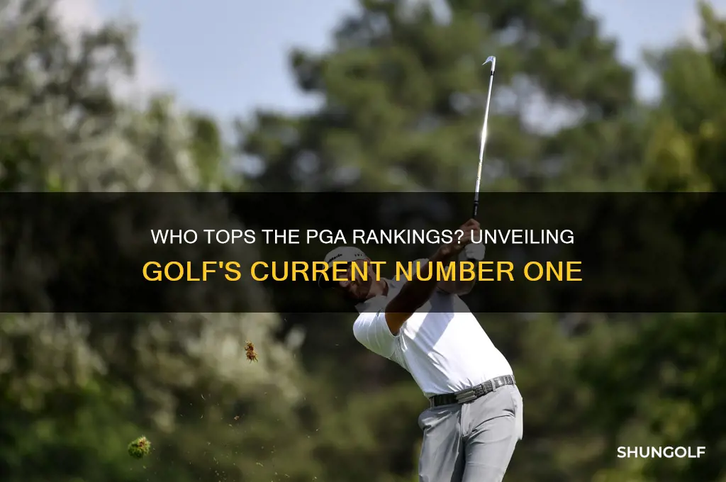 who is number 1 pga golfer