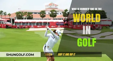 The Ultimate Golf Champion: Who Tops the World Rankings?
