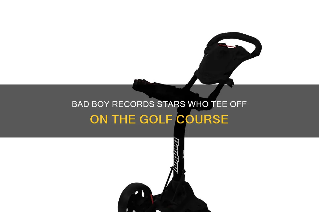 who is on bad boy records and golfs