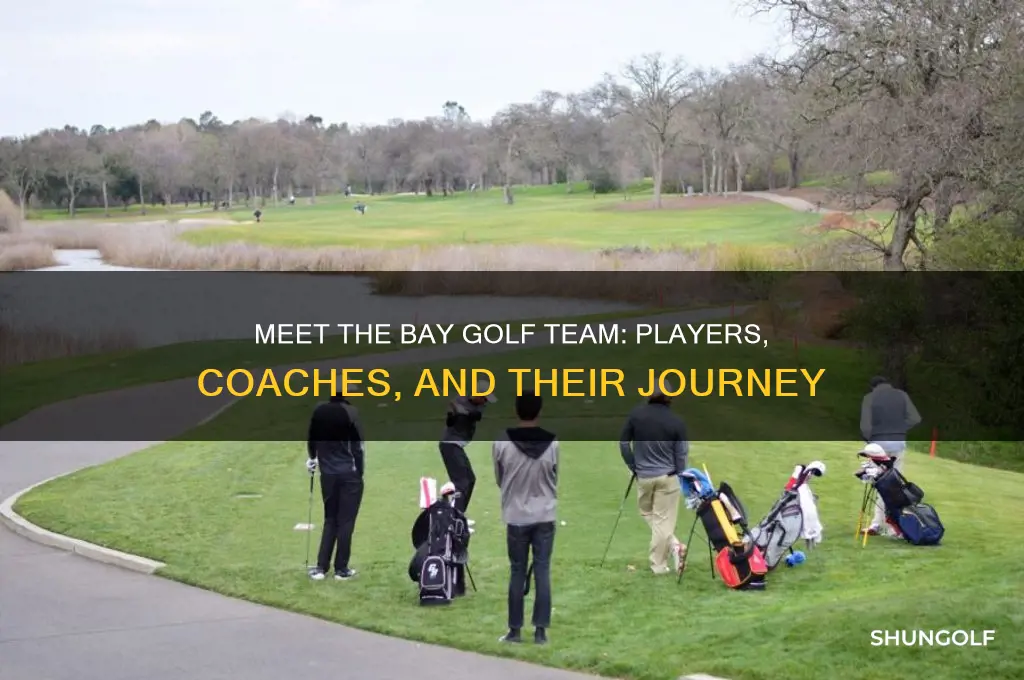 who is on the bay golf team
