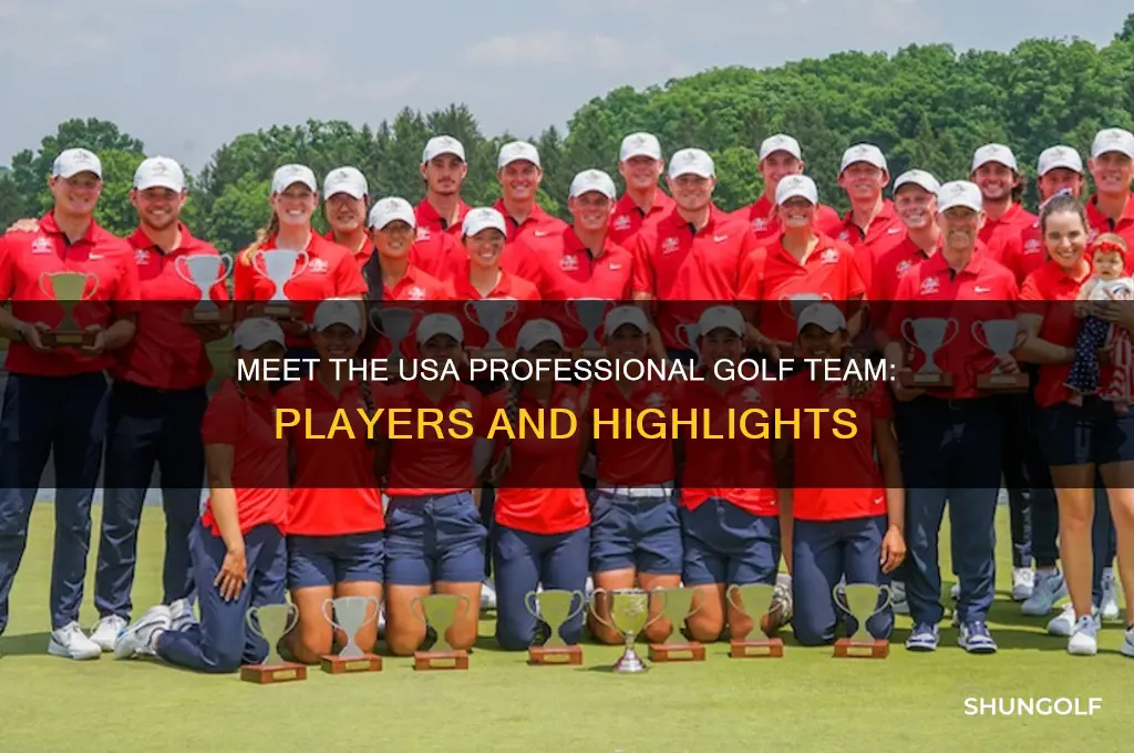 who is on the usa professnal golf team