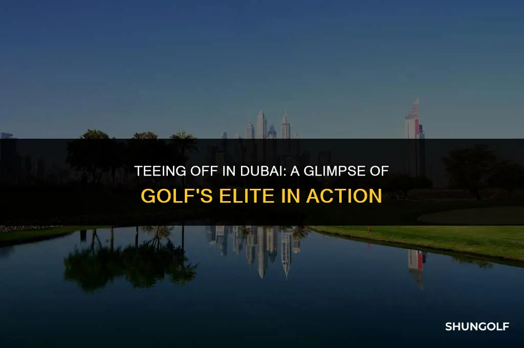 who is playing in dubai golf