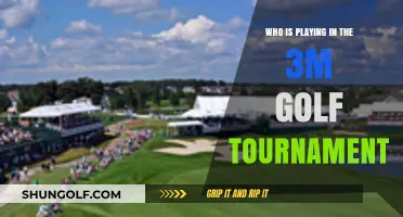 Teeing Off at the 3M Golf Tournament: A Star-Studded Field