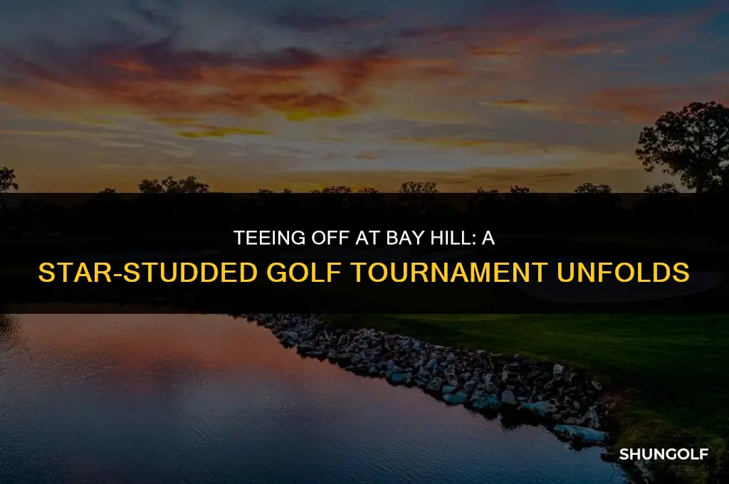 who is playing in the bay hill golf tournament