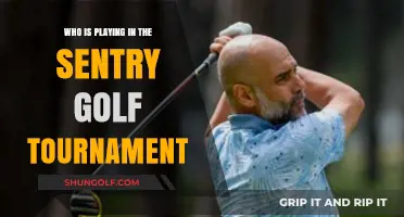 Teeing Off at Sentry: A Star-Studded Golf Tournament Lineup