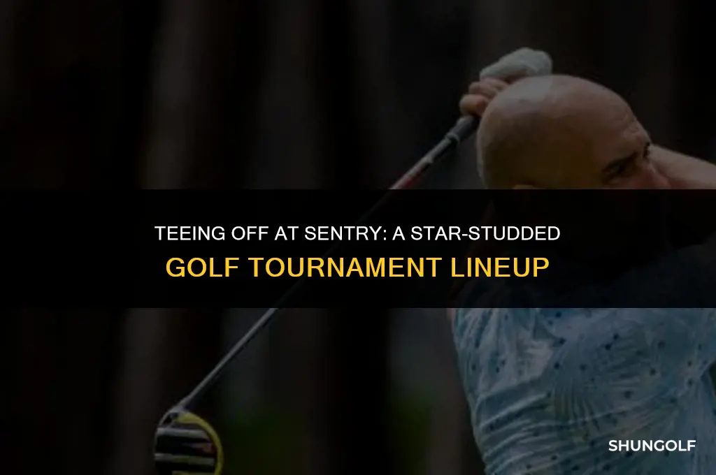 who is playing in the sentry golf tournament