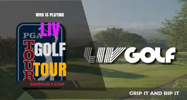 Exploring the Dynamic Field of LIV Golf Tour Players