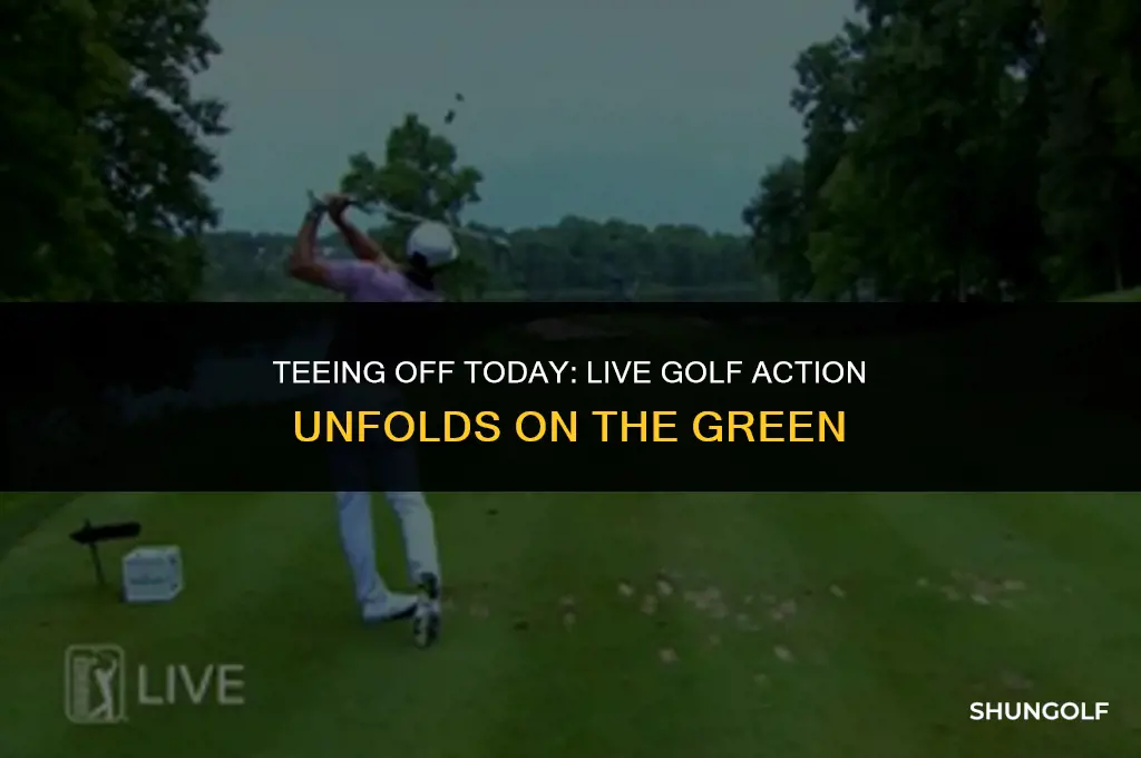 who is playing live golf