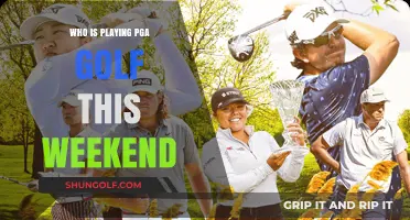 Teeing Off: PGA Golf Stars to Watch This Weekend