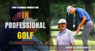 Who Reigns Supreme: The Current Number One in Professional Golf