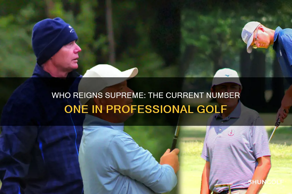 who is ranked number one in professional golf