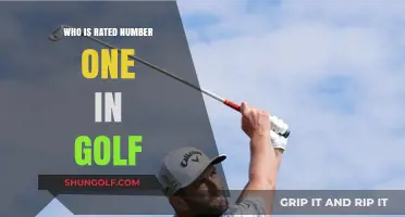 Who Tops the Golf Rankings: The Current World Number One