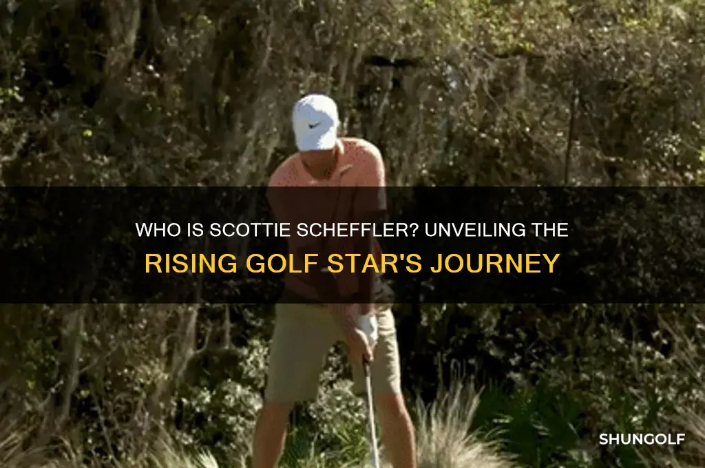 who is scheffler golfer