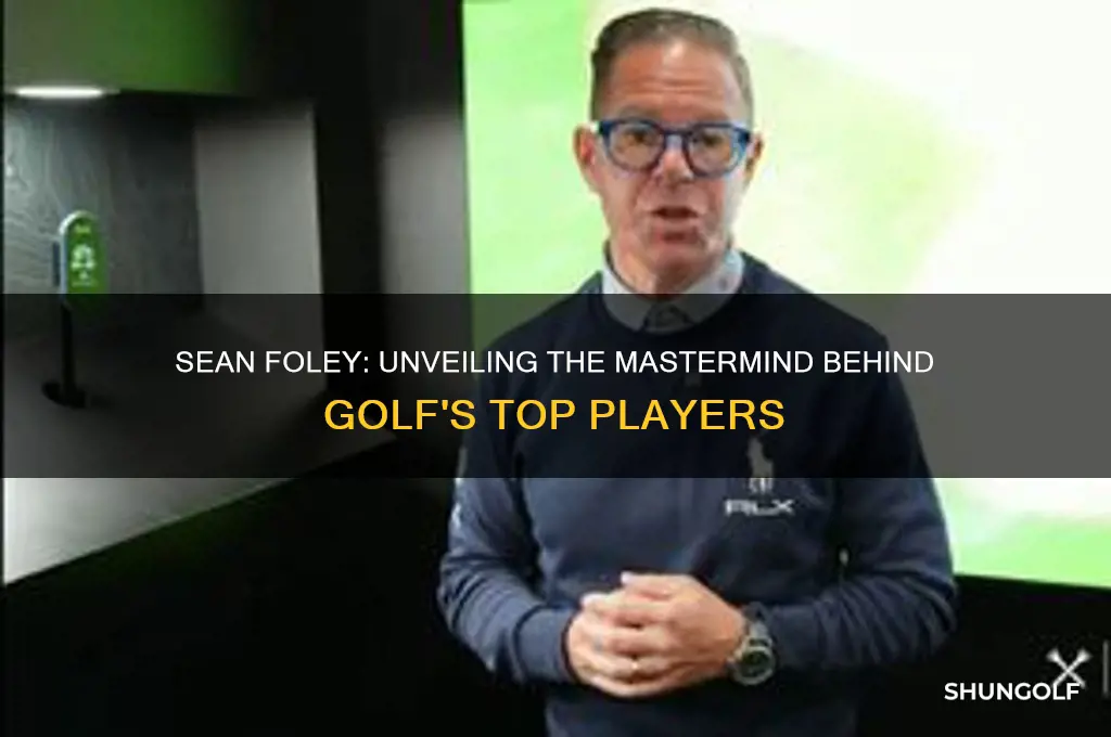 who is sean foley in golf