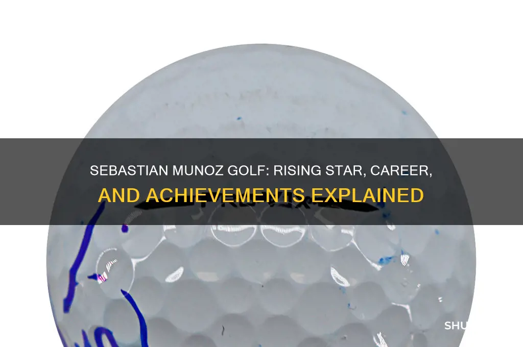 who is sebastian munoz golf