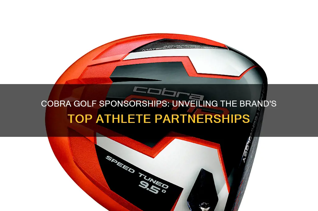 who is sponsored by cobra golf