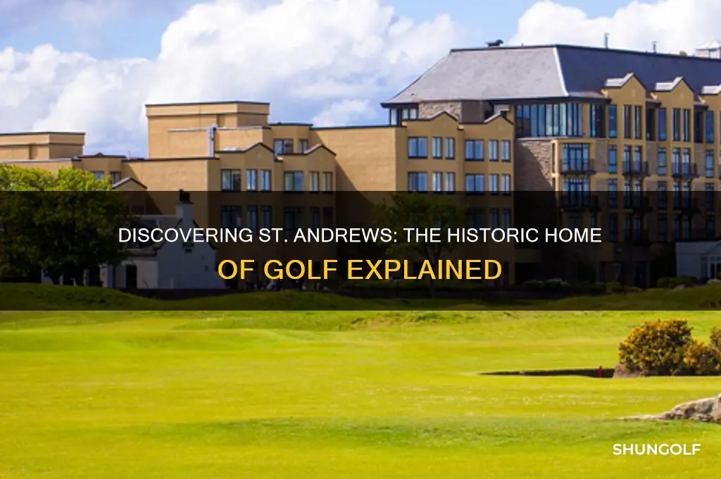 who is st andre golf