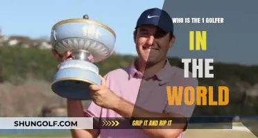 Meet the Reigning Champion: Who Holds the Top Golfer Title?