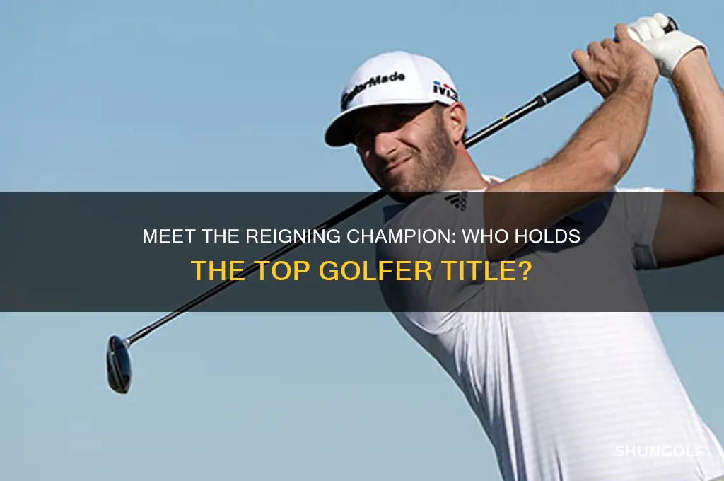 who is the 1 golfer in the world