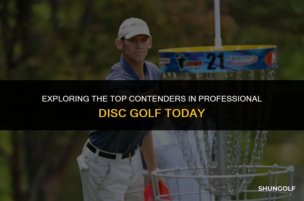 who is the best disc golf player