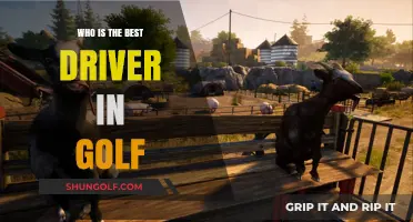 Exploring the Tee: Who Holds the Title of Golf's Greatest Driver?