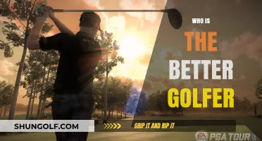 Tiger Woods vs. Rory McIlroy: Who Dominates the Golf Course?