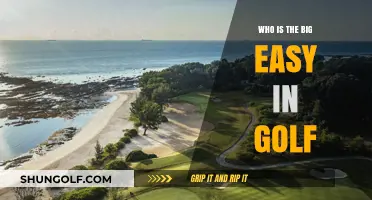 Unveiling the Big Easy: Ernie Els' Legacy in Golf