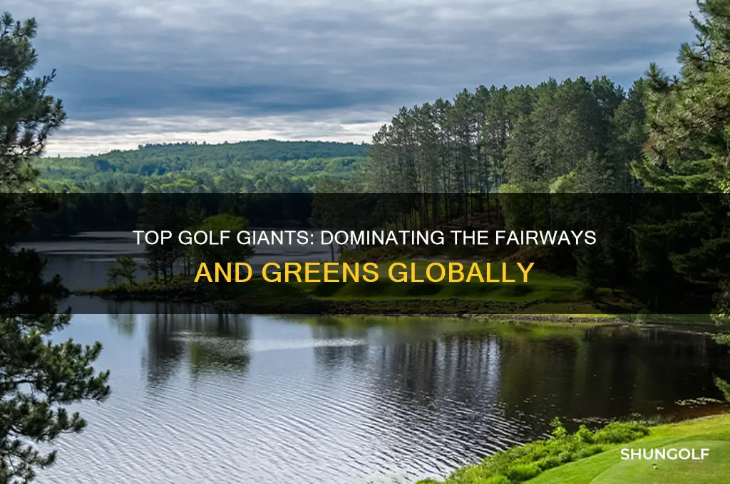 who is the biggest companies in golf