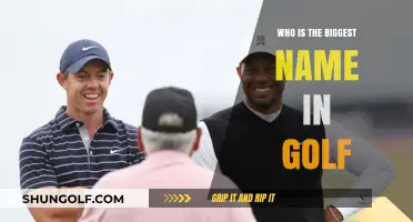 Tiger Woods vs. Rory McIlroy: Who Reigns as Golf's Greatest Icon?