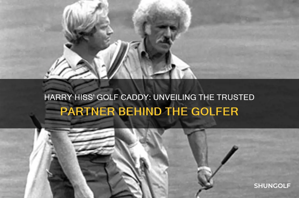 who is the caddy for harry hiss the golfer