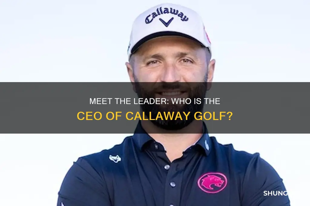 who is the ceo of callaway golf