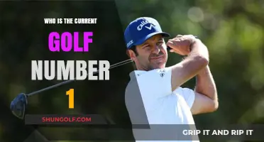 Meet the Reigning Golf Champion: Today's World Number One Player