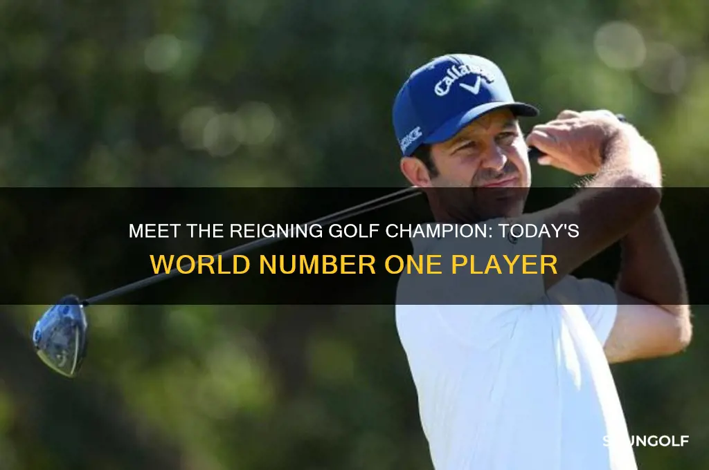 who is the current golf number 1