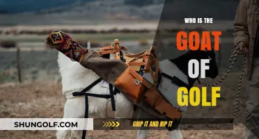 The Greatest Golfer Debate: Who's the GOAT?