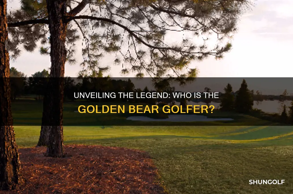who is the golden bear golfer