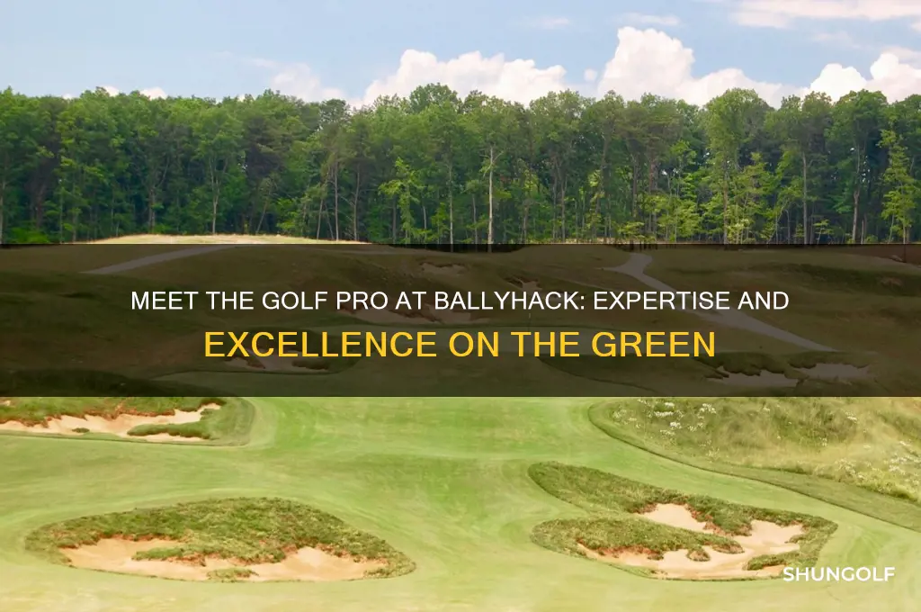who is the golf pro at ballyhack