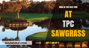 Meet the Golf Pro at TPC Sawgrass: Expertise and Excellence