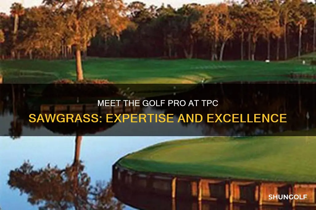 who is the golf pro at tpc sawgrass