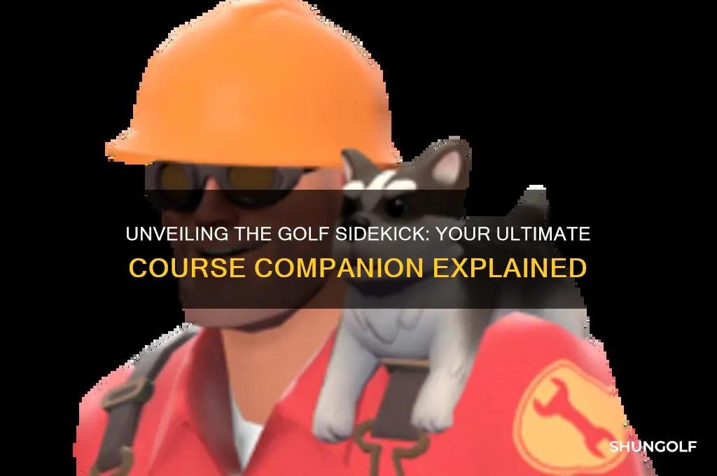 who is the golf sidekick