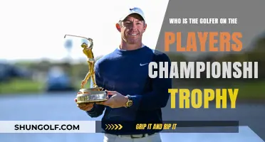 The Golfer on The Players Championship Trophy: Unveiling the Icon