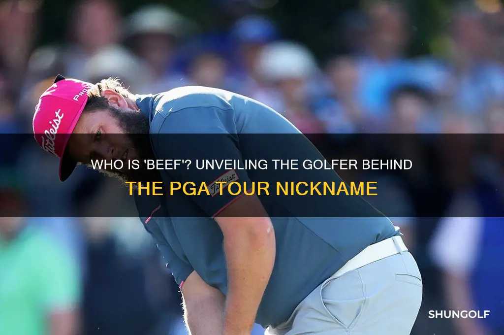 who is the golfer they call beef on pga tour